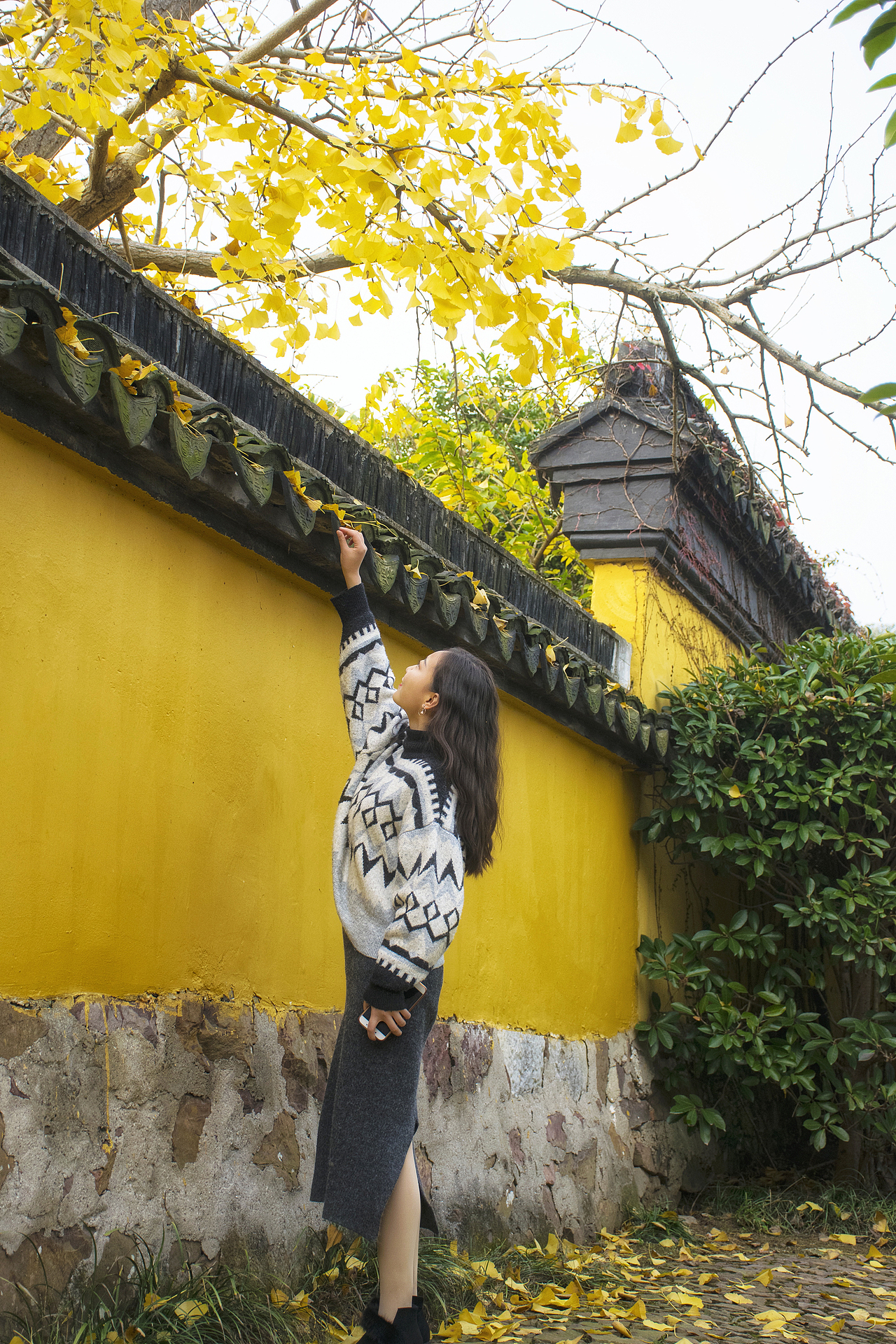 东山银杏（图ZMTM4NzMxNDM2） - 风光摄影 - 站酷设计师心若有夕原创素材 - 站酷ZCOOL