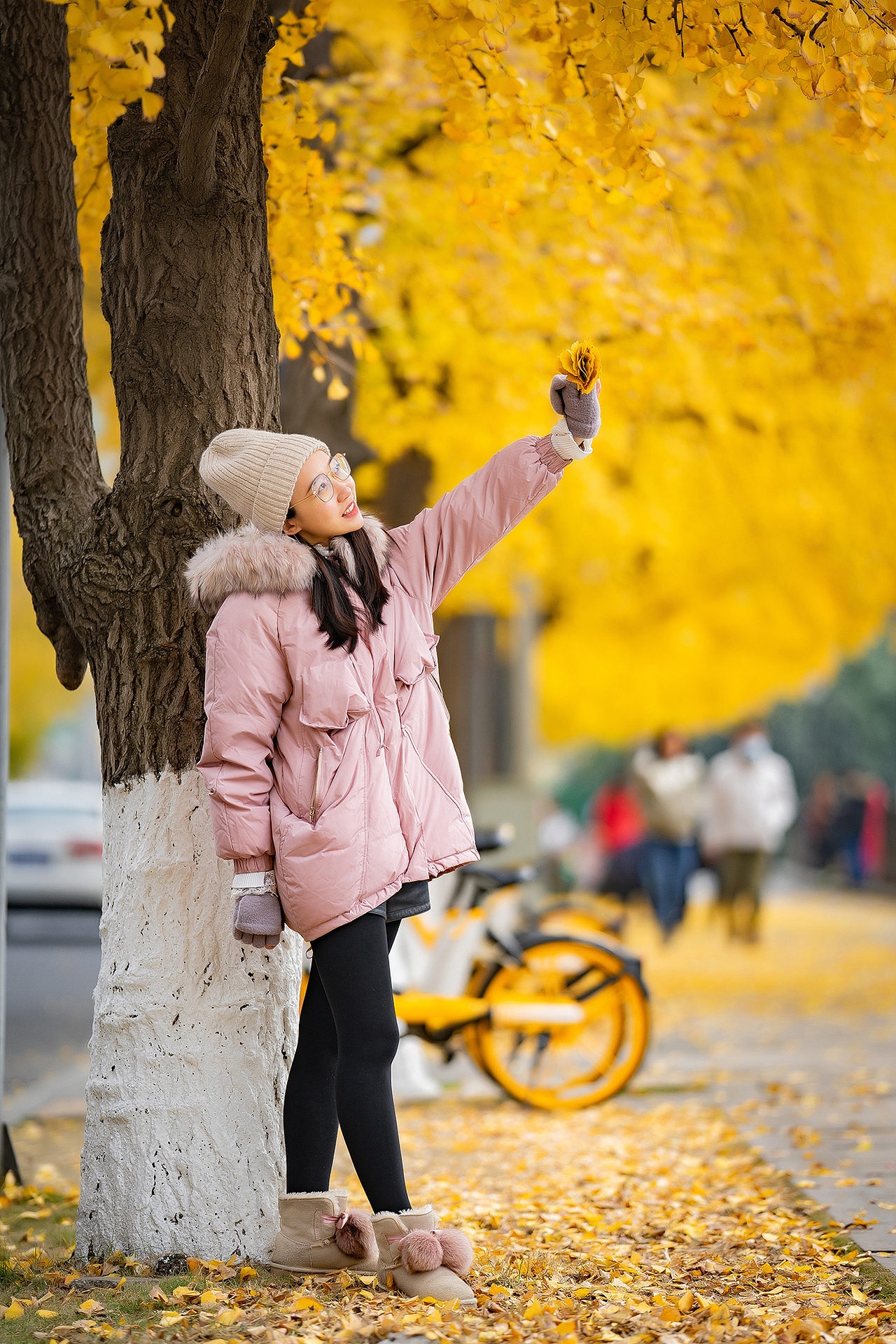 美丽的河边银杏，锦里中路（图ZMjM1NzgyNjc2） - 人像摄影 - 站酷设计师迪克高原创素材 - 站酷ZCOOL