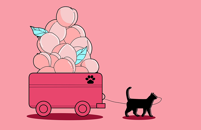 猫的旅行（图ZMzE4NDMyNDEy） - 儿童插画 - 站酷设计师猫咪不吃鱼骨头原创素材 - 站酷ZCOOL