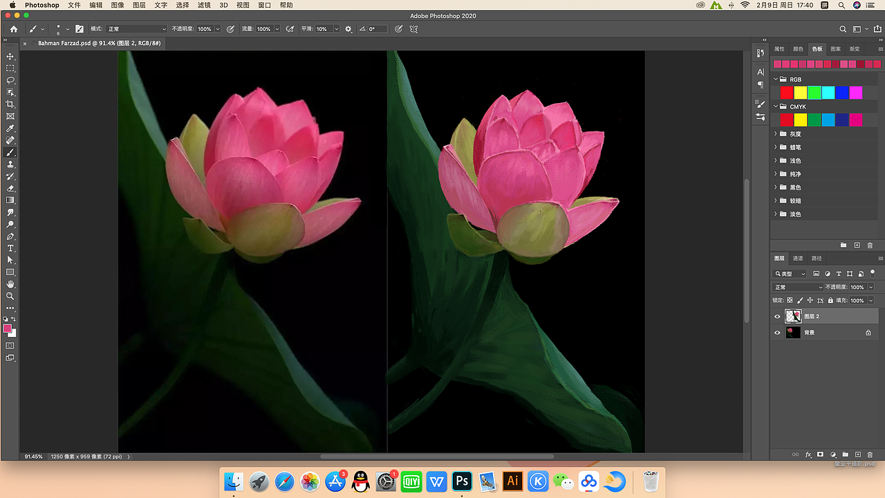 【我的超级临摹】Wacom影拓4手绘板+PS，荷花（图ZMjk4MTY5NTA0） - 创作习作 - 站酷设计师箐绿芊芊原创素材 - 站酷ZCOOL