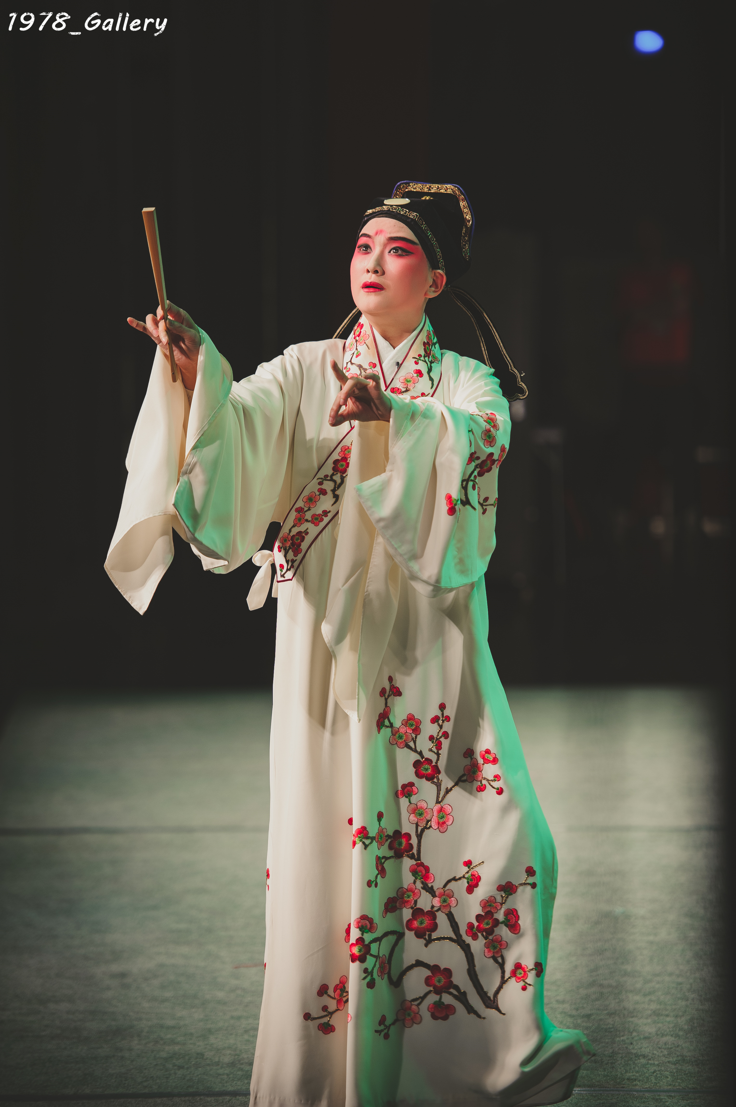 昆曲精华临川四梦之牡丹亭