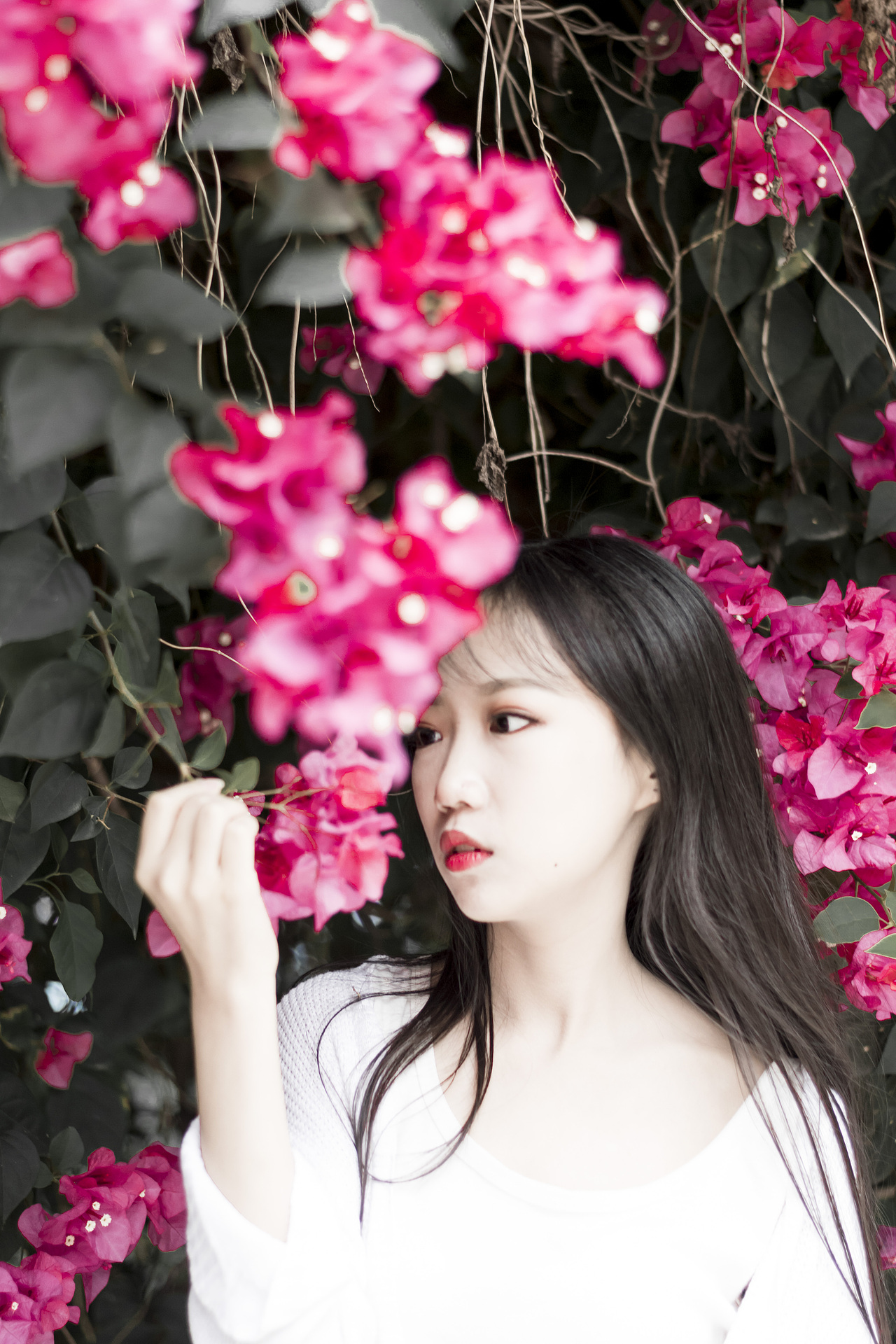 摄于深圳西丽湖 风格:浪漫唯美甜美清晰