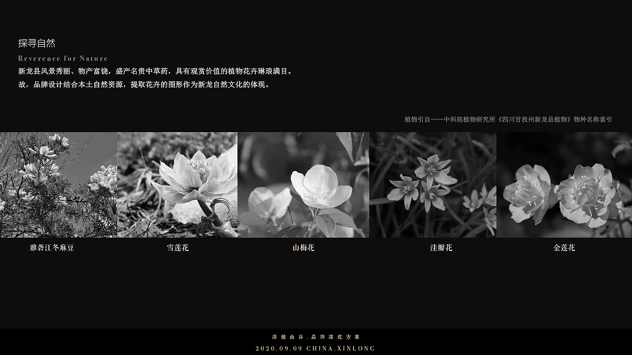 【游龙山谷】酒店品牌形象设计（图ZMjYxNDk3NDQ4） - 品牌 - 站酷设计师一休创想原创素材 - 站酷ZCOOL