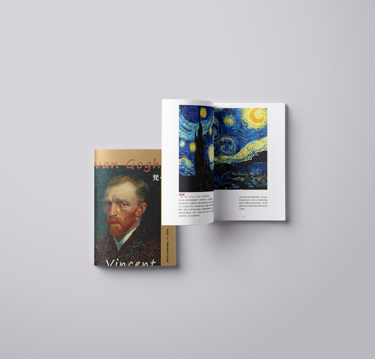 梵高画册
