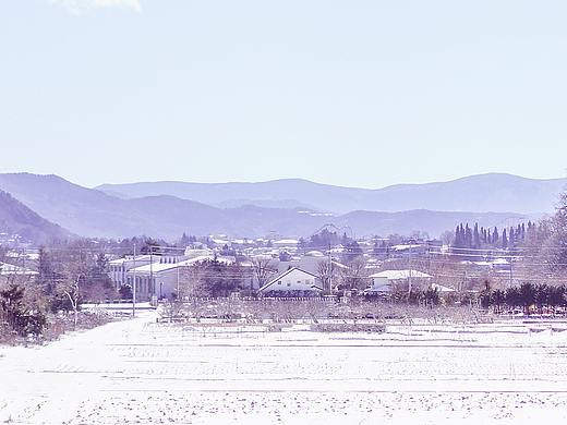 《陪你去看雪》