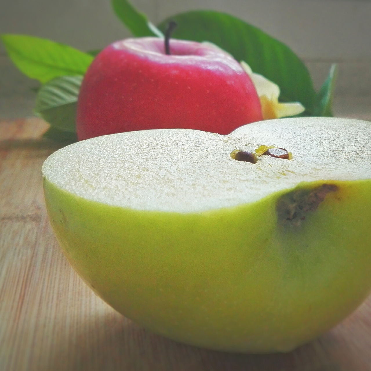 生活中的点滴-手机摄影