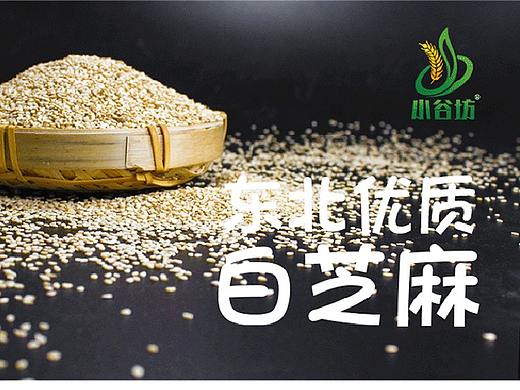 东北优质白芝麻