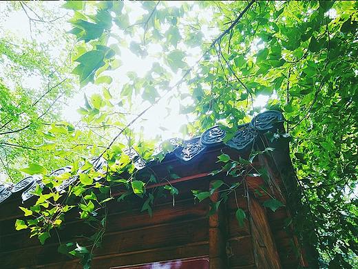 六安之行——皖西大裂谷