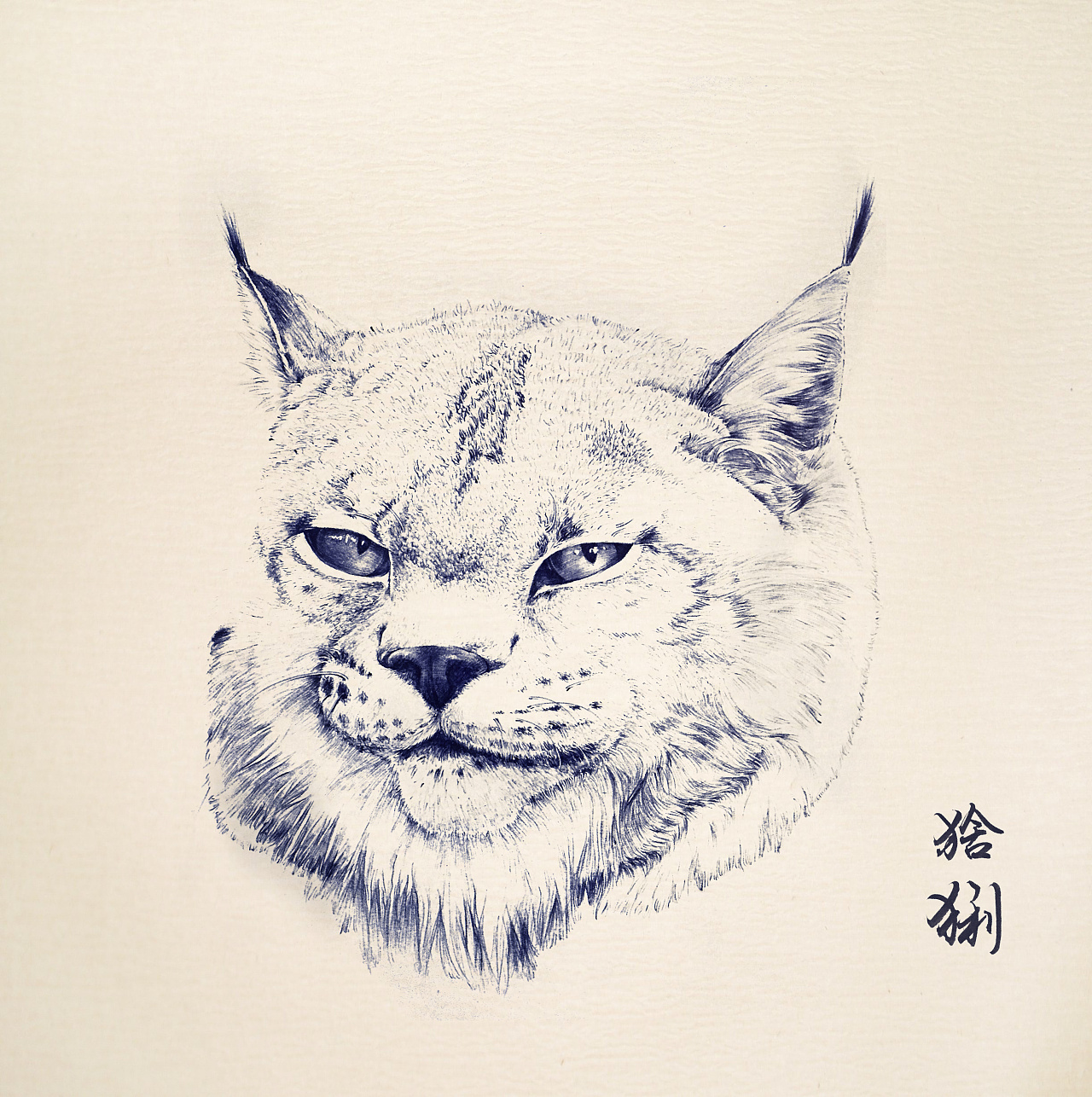 圆珠笔画猫科动物