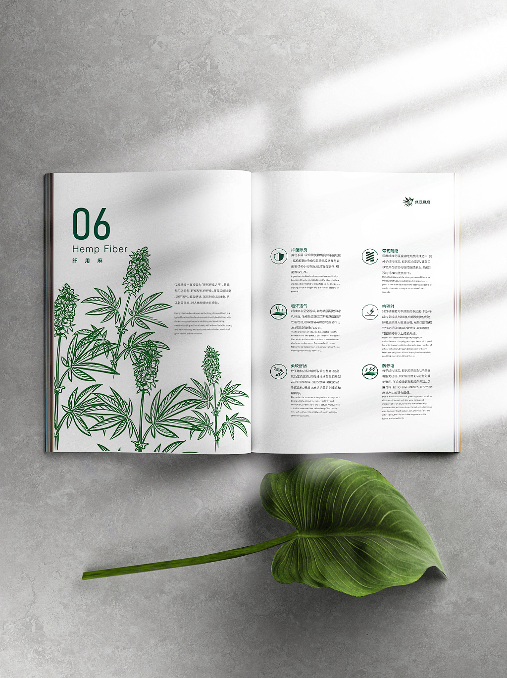编排设计|汉麻馆画册