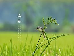 立春