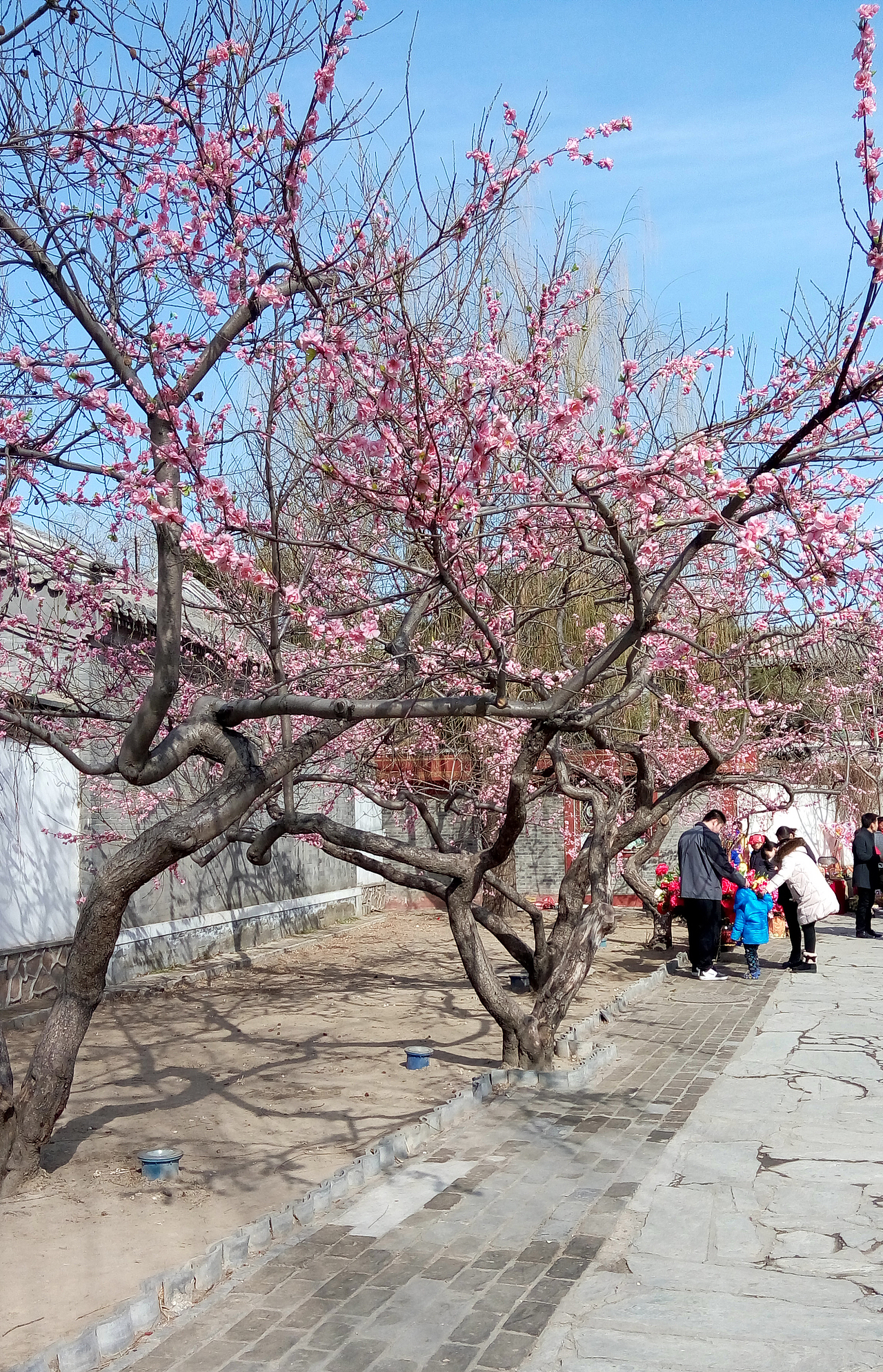 活动：春节见闻录-用设计的眼光看春节-庙会篇（图ZMjQ4MjY2OTY=） - 风光摄影 - 站酷设计师桃乐茜leo原创素材 - 站酷ZCOOL