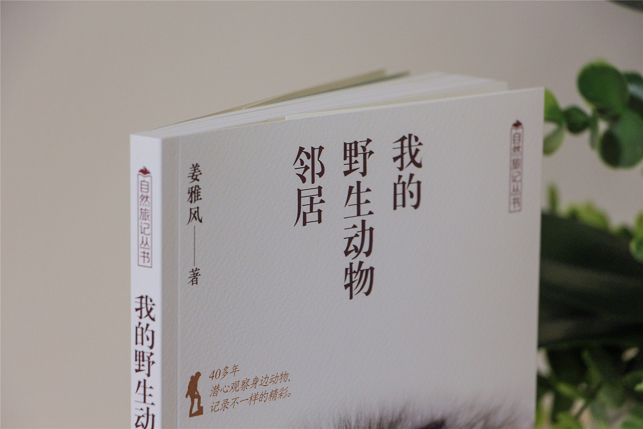 2020年第5本图书的封面设计（正式稿与飞机稿）（图ZMjI4OTAwNzQw） - 书籍/画册 - 站酷设计师尚沪晴好原创素材 - 站酷ZCOOL
