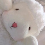 是Judy啊的头像