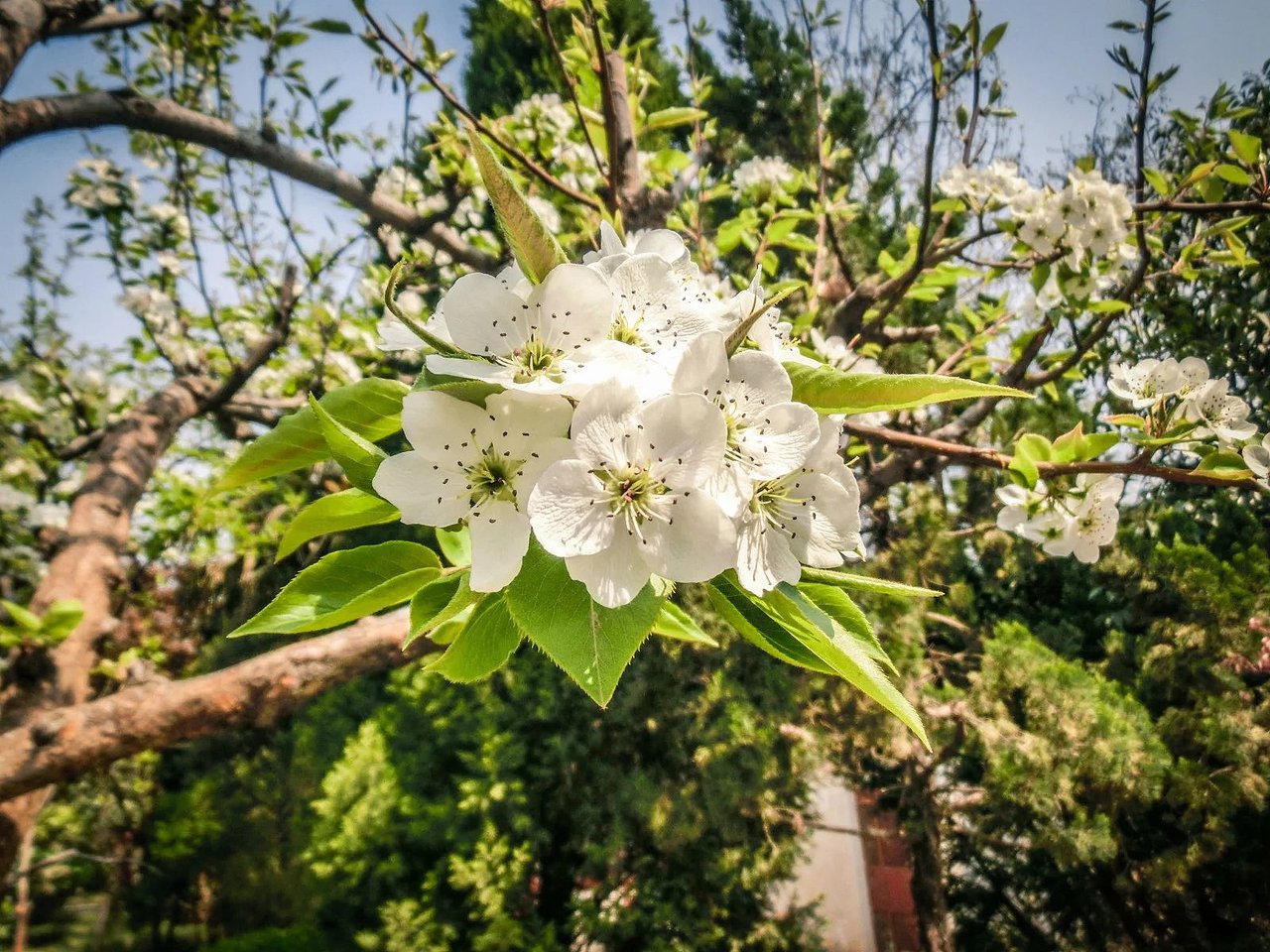 摄影作品（图ZMTQ5NTgwNzMy） - 其他摄影 - 站酷设计师LeBronHolmes原创素材 - 站酷ZCOOL