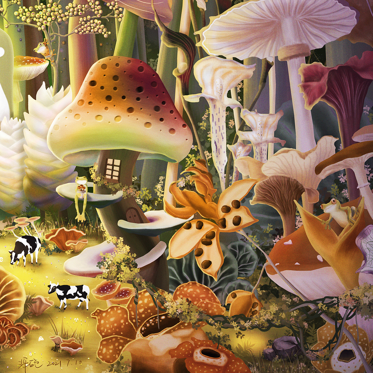 植物森林里的秘密