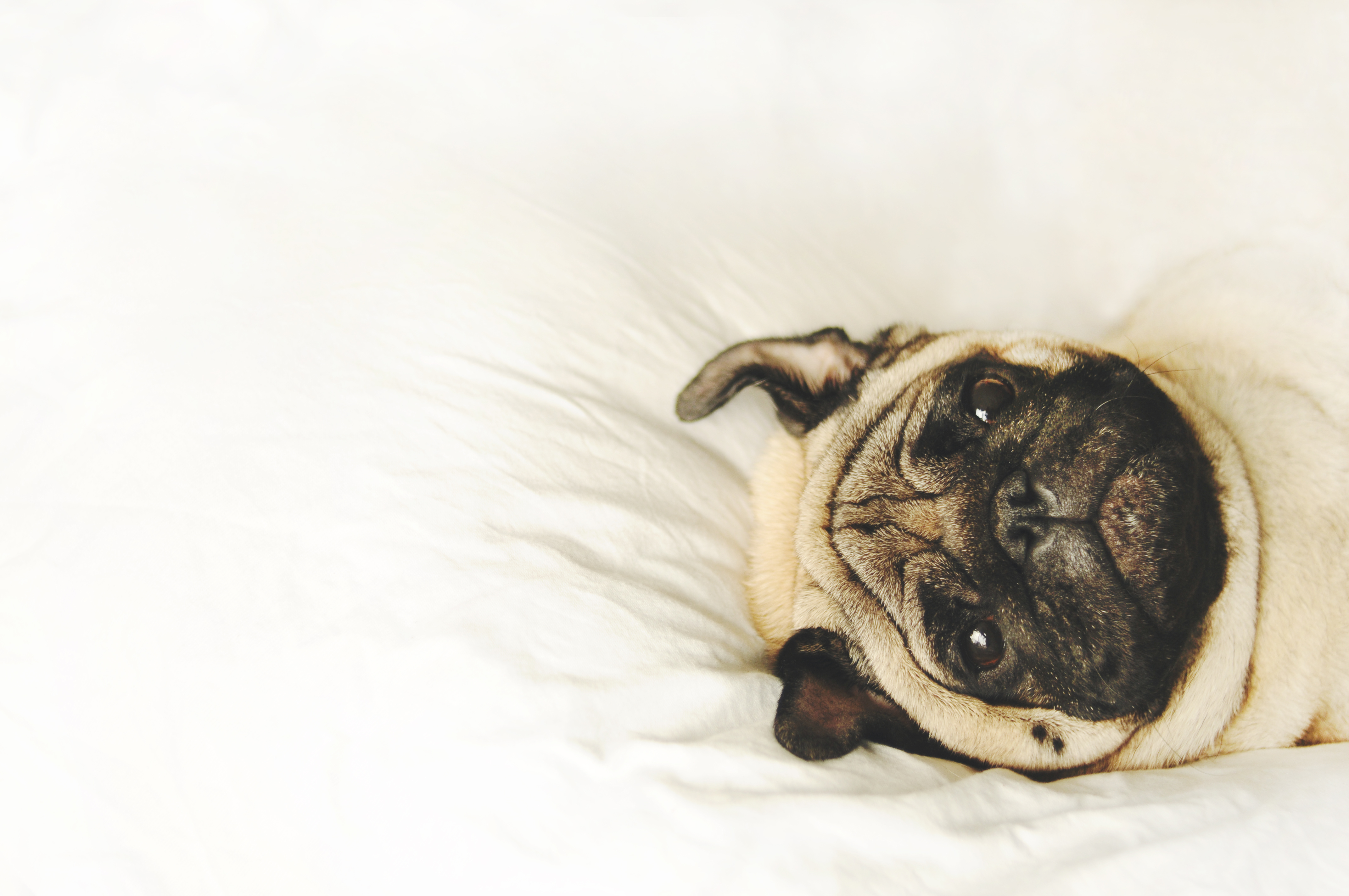 空气的鱼儿的个人主页（封面预览） - 主页封面设置 - 站酷设计师空气的鱼儿原创素材 - 站酷ZCOOL