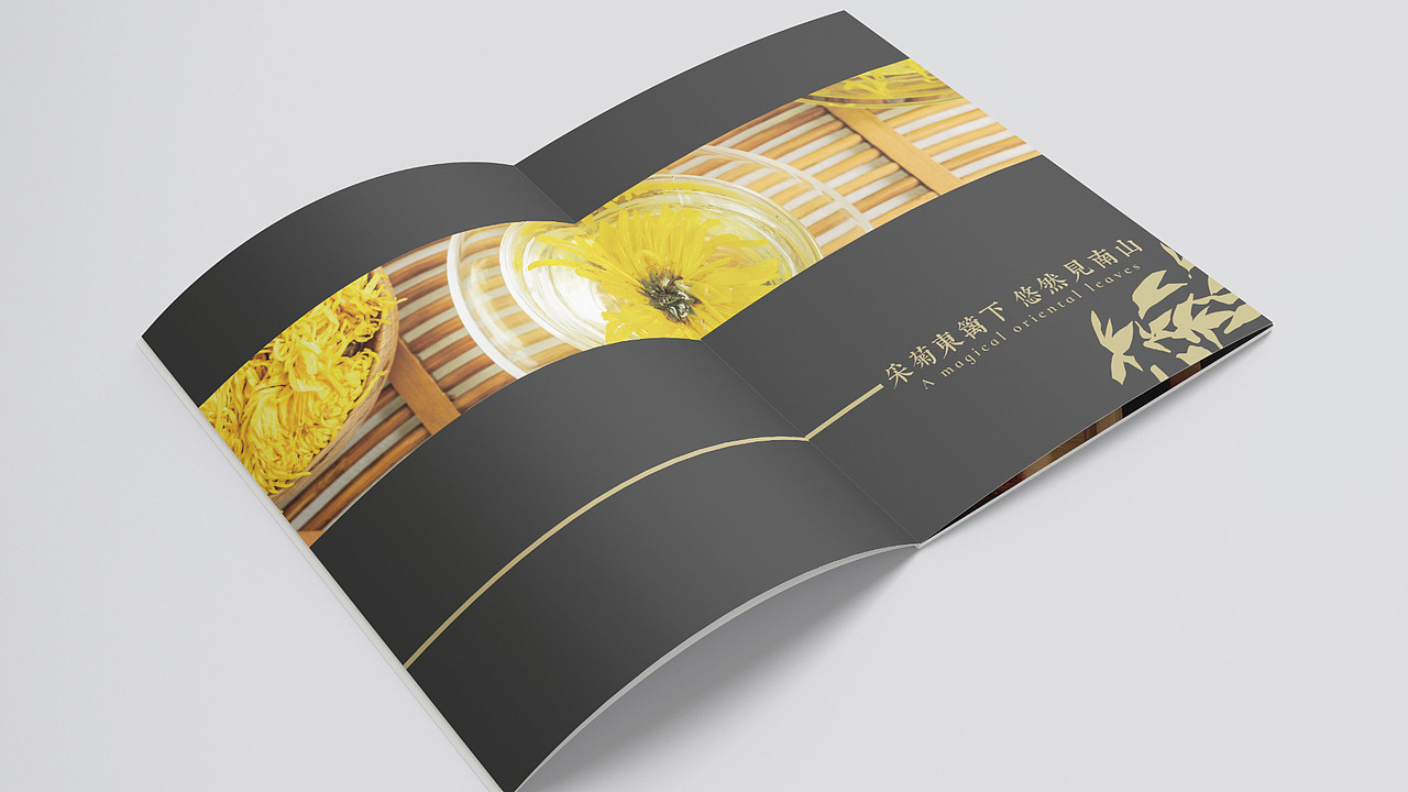 LittleSu-2018-2019作品集（图ZMTk3OTc5MjE2） - 品牌 - 站酷设计师LittleSu原创素材 - 站酷ZCOOL