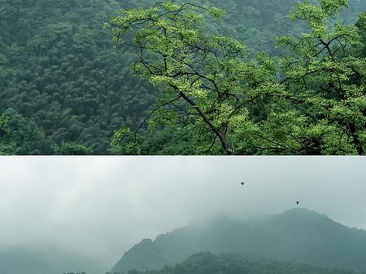 静     山