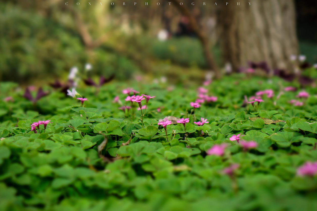 【A6000杭州 摸索】