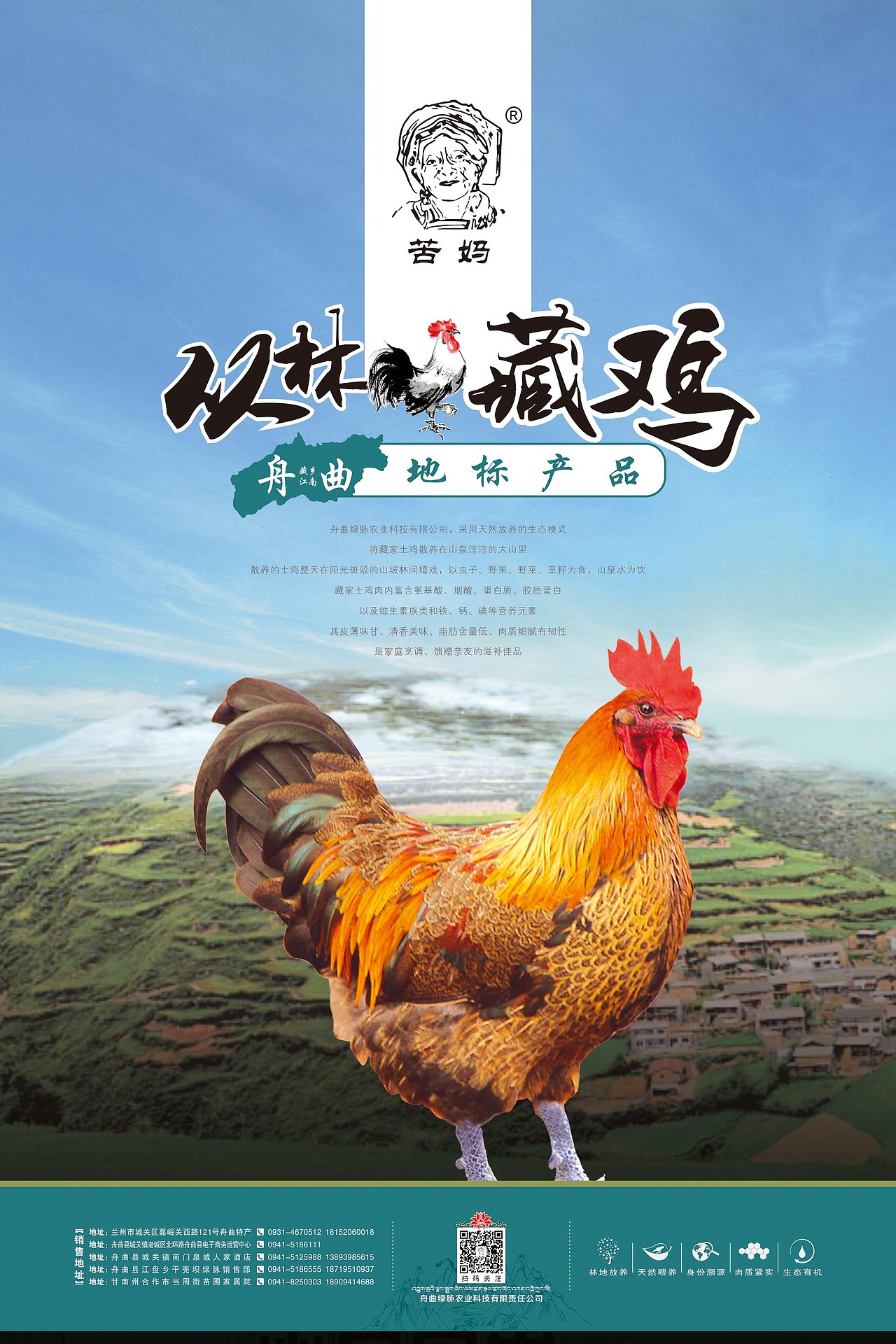 宣传物料--藏鸡（图ZMTQ0NTg2NTA4） - 宣传物料 - 站酷设计师小瓶子1232原创素材 - 站酷ZCOOL