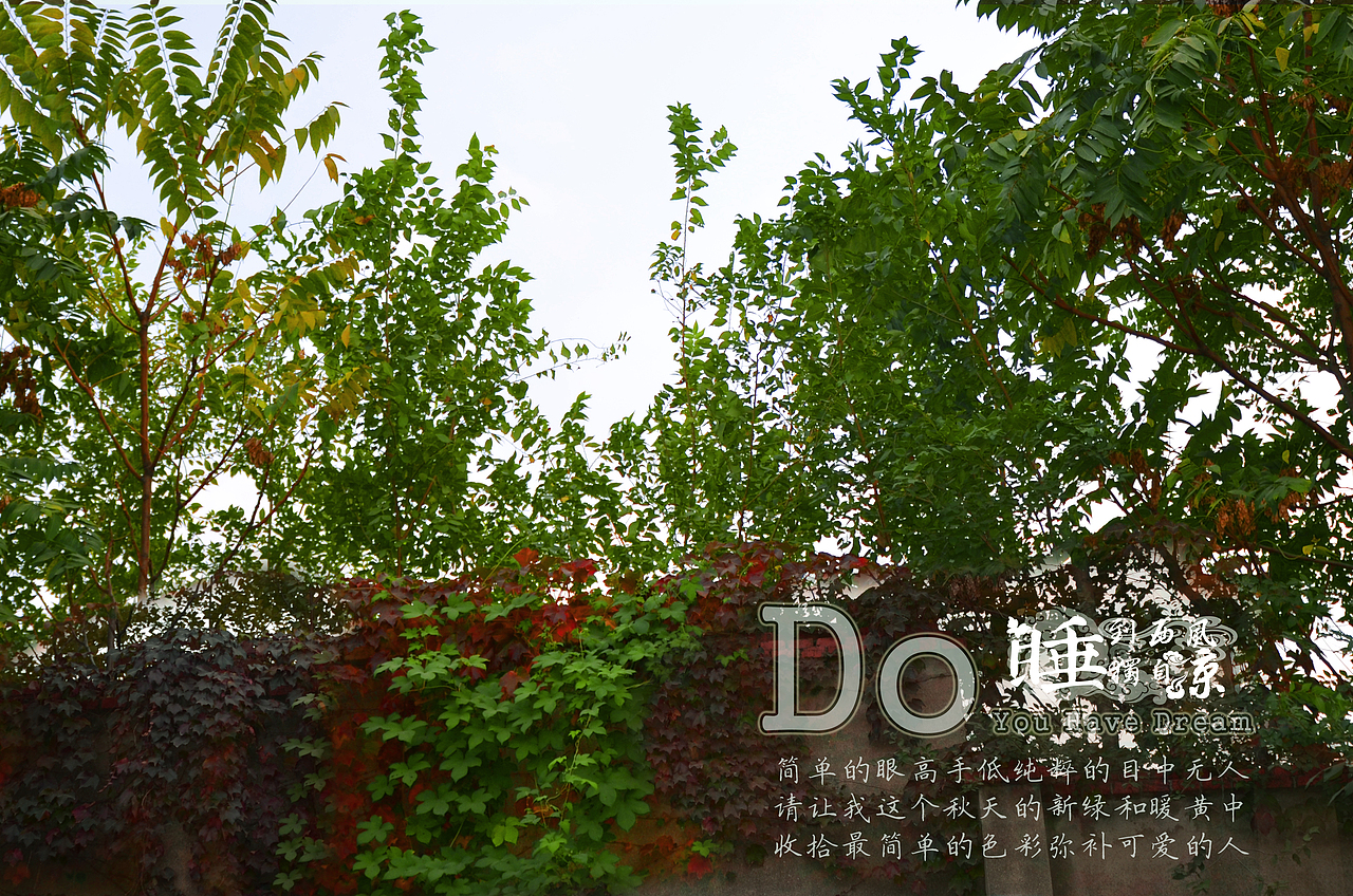 秋风里执着的绿色（图ZMjAzMzk1ODQ=） - 风光摄影 - 站酷设计师赵青灯原创素材 - 站酷ZCOOL