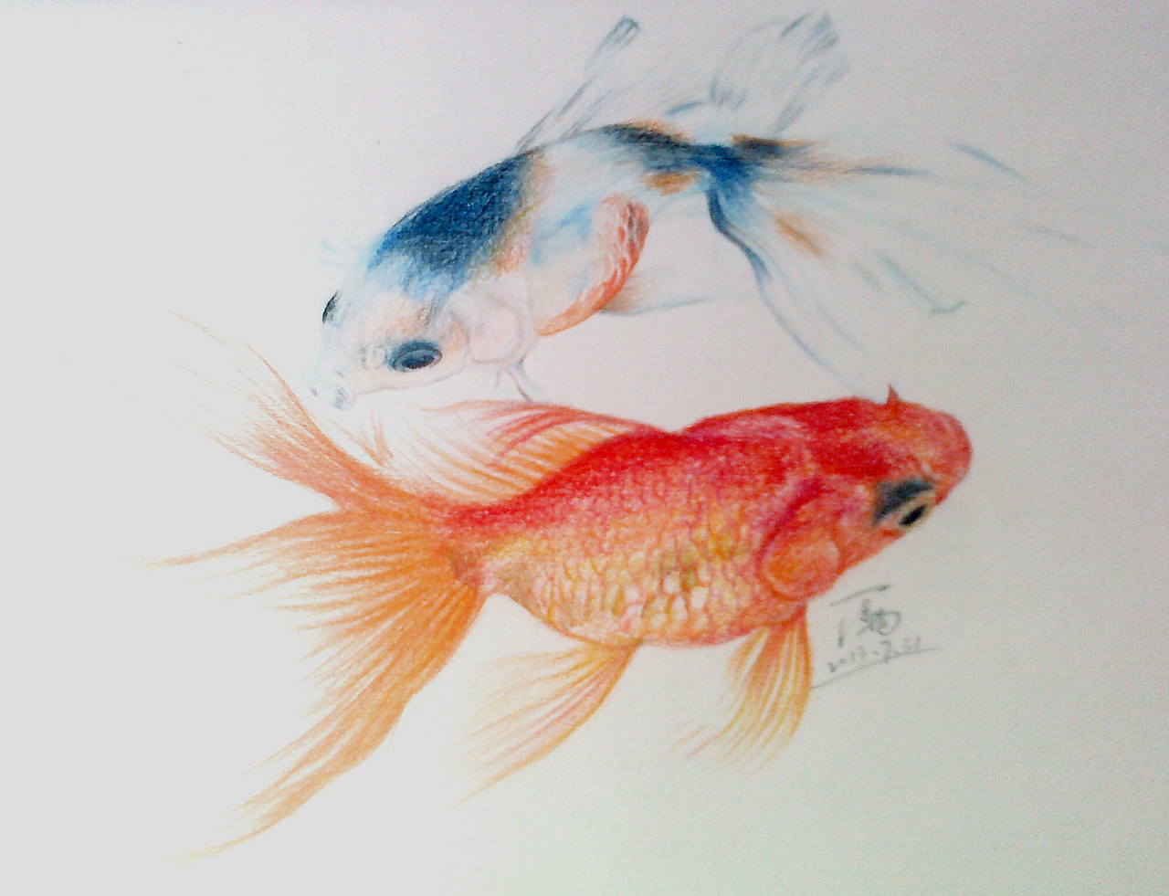 《双鱼嬉戏》系列 彩铅画|纯艺术|绘画|笔尖下的精彩 - 原创作品