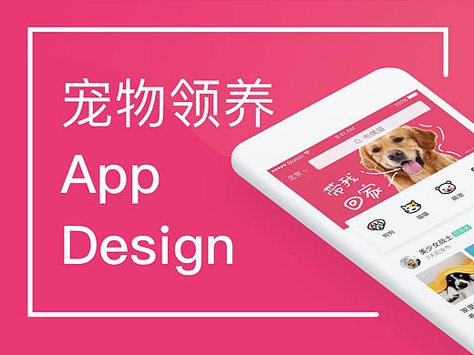 宠物领养项目总结二