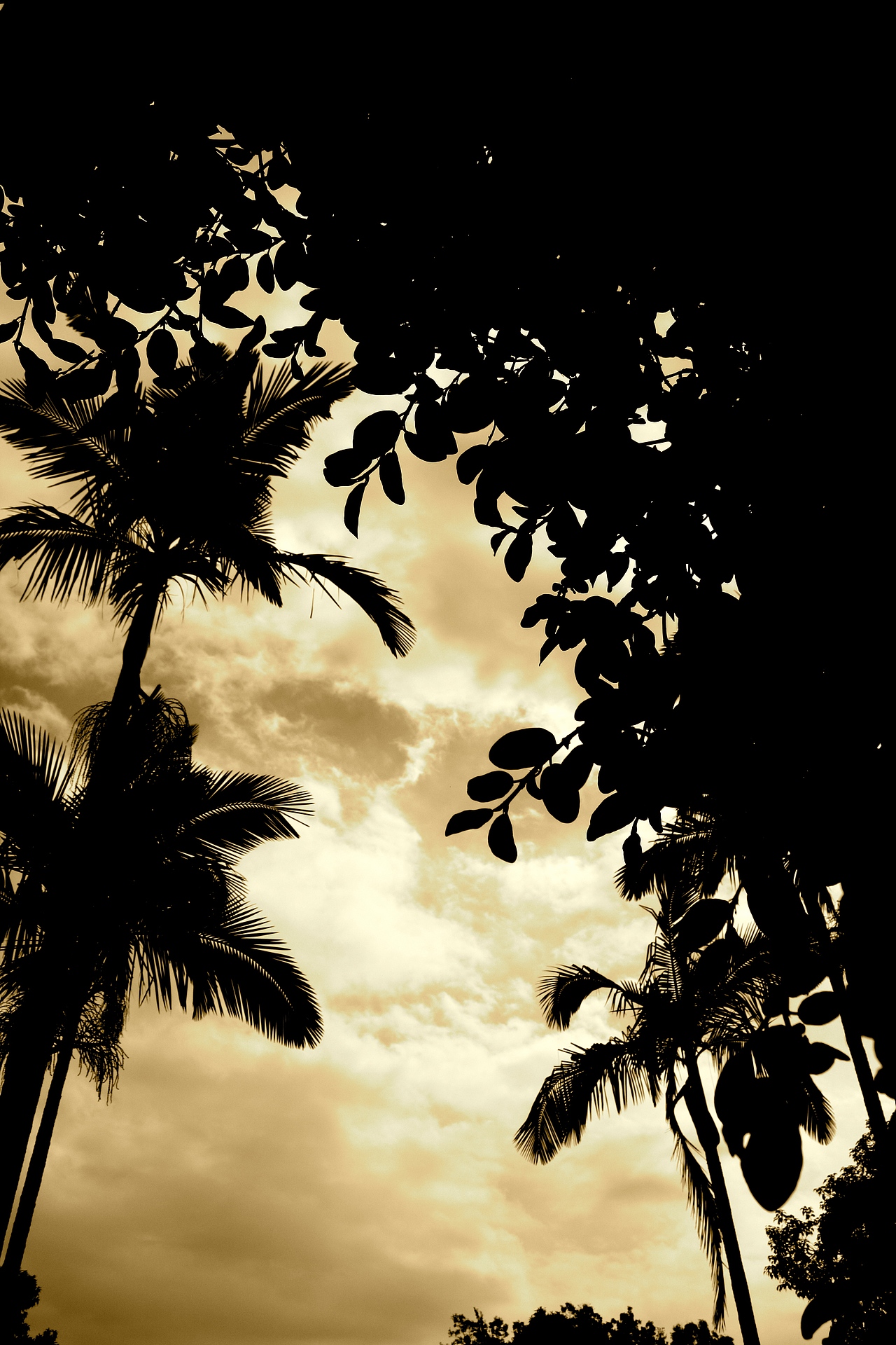 喧囂靜處（圖ZNDMwNzM2OA==） - 產(chǎn)品攝影 - 站酷設計師痞子望原創(chuàng)素材 - 站酷ZCOOL