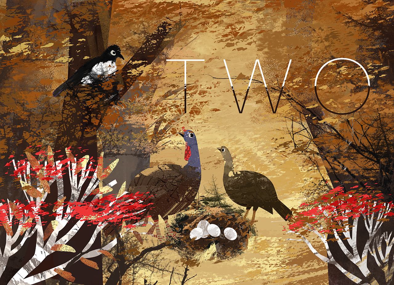 大美鸡的故事（图ZMTgyODc0MDQw） - 创作习作 - 站酷设计师雨滴子原创素材 - 站酷ZCOOL