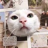 啊漾的头像