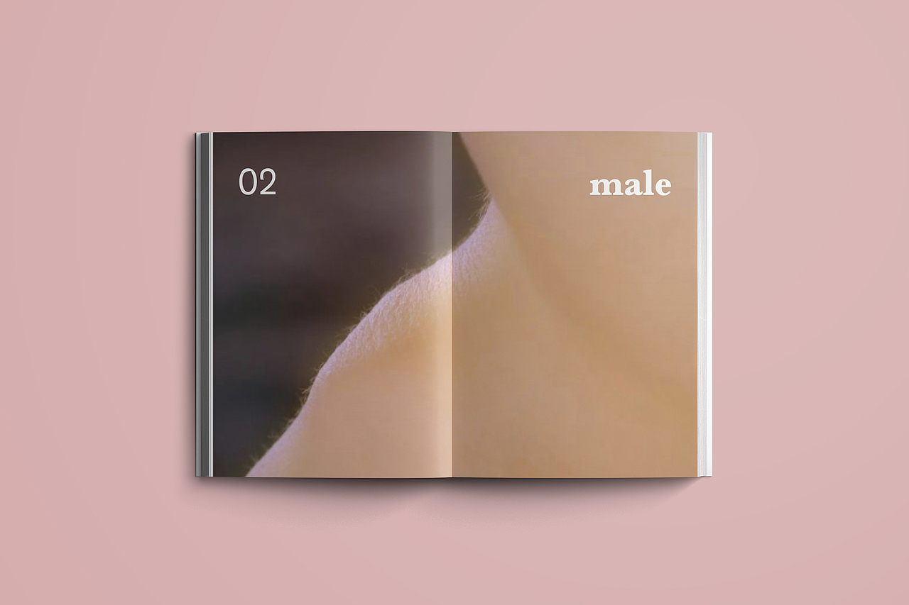 斑块（图ZMTU2NjcyNjM2） - 书籍/画册 - 站酷设计师邓佳啊原创素材 - 站酷ZCOOL