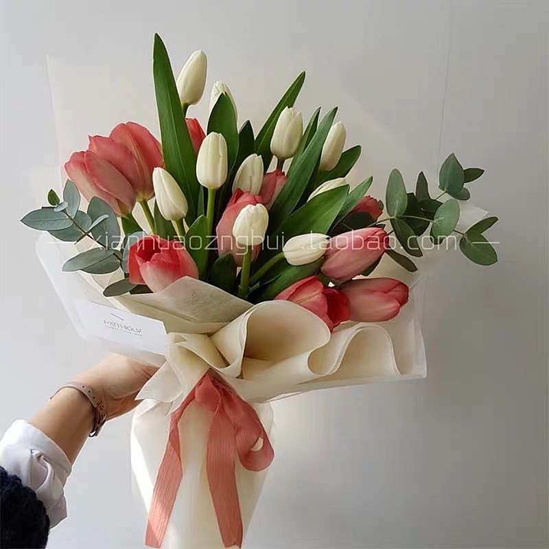 Girls with plants5（图ZMTc1NDUxODUy） - 创作习作 - 站酷设计师Carey0524原创素材 - 站酷ZCOOL