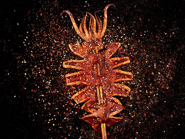 郑州美食摄影  郑州菜品拍摄 烤串鱿鱼 138 3813 5574