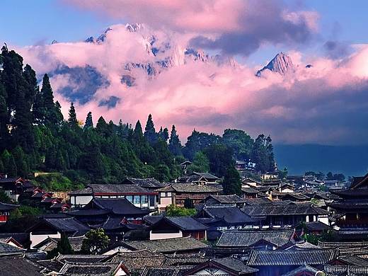 活动页（个人主页-ZMzYzNDA1NDg=） - 其他平面 - 站酷设计师雅九原创素材 - 站酷ZCOOL