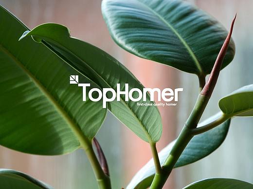 品牌设计『 TopHomer家居 』✖ 新罐头