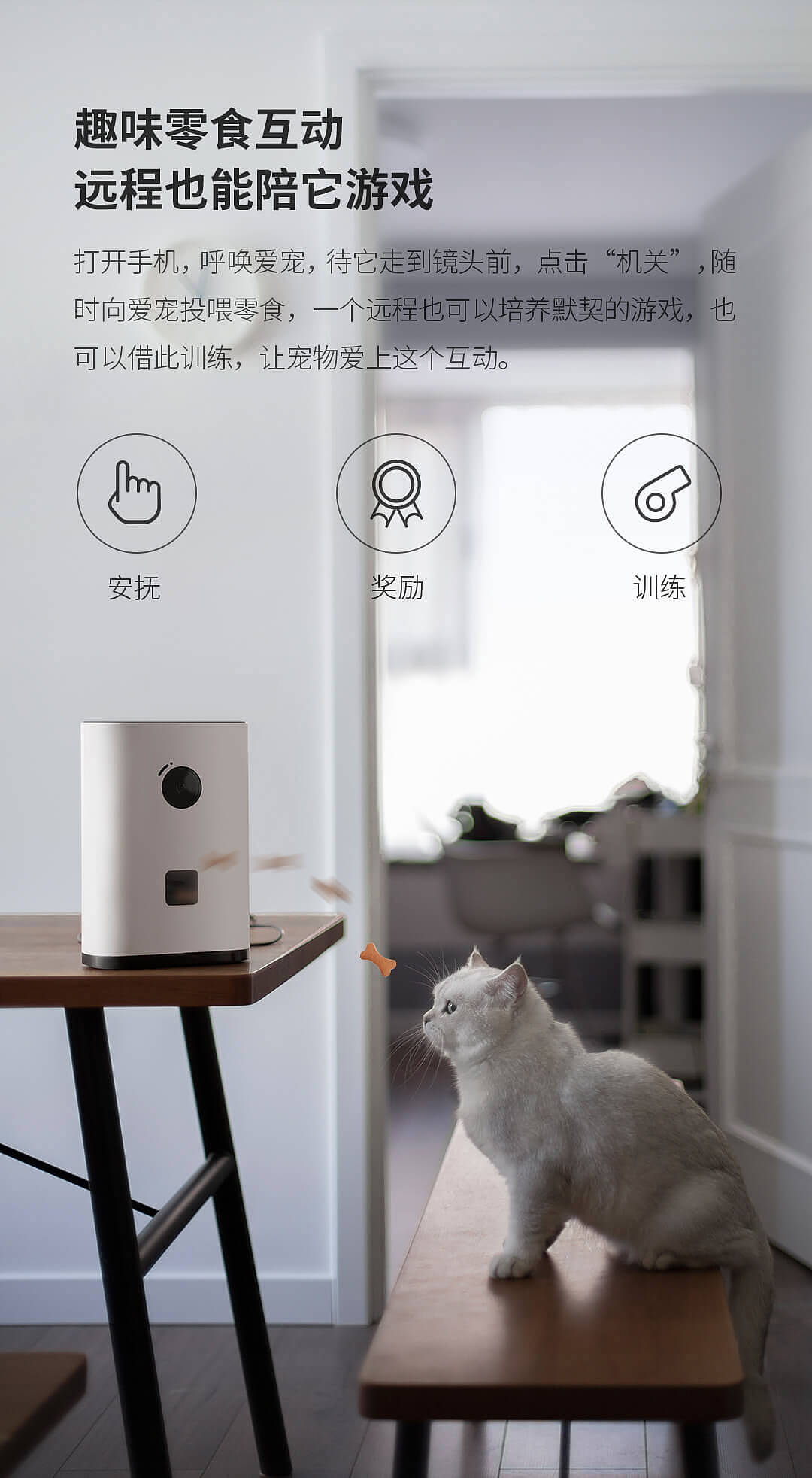 电商页面设计