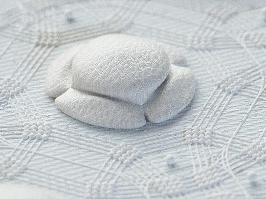 構(gòu)建設(shè)計語言-Building a Design Language（個人主頁-ZNDcwNjQyNzY=） - 動畫/影視 - 站酷設(shè)計師鐵憨憨本憨原創(chuàng)素材 - 站酷ZCOOL