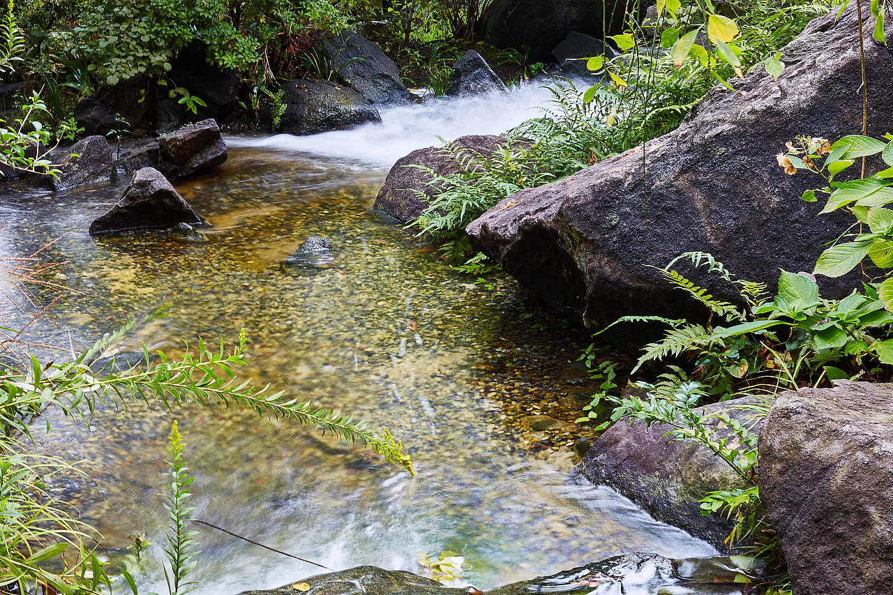 几张扫街 日本 新宿（图ZMjI5MzkwNDQ0） - 人文/纪实摄影 - 站酷设计师captain杰克原创素材 - 站酷ZCOOL