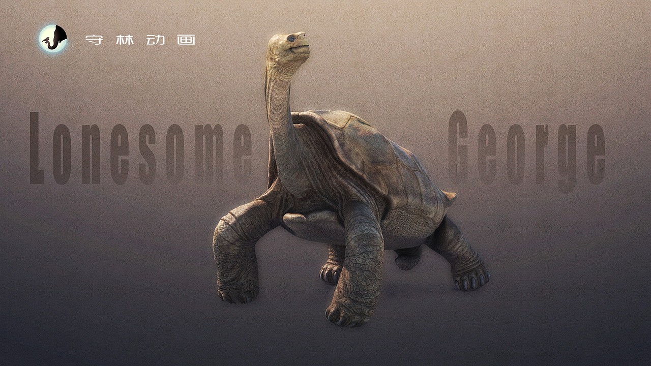孤独乔治 最后一只加拉帕戈斯平塔岛象龟