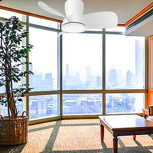 亚马逊精品套图1