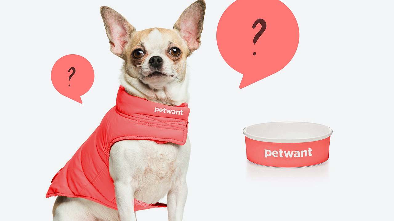 PetWant派旺|鲜活有爱的智宠品牌