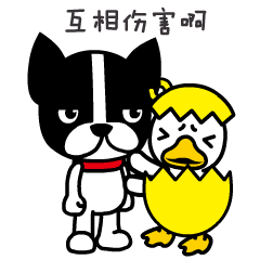 BOBO和捣蛋鬼GAGA的带娃日常