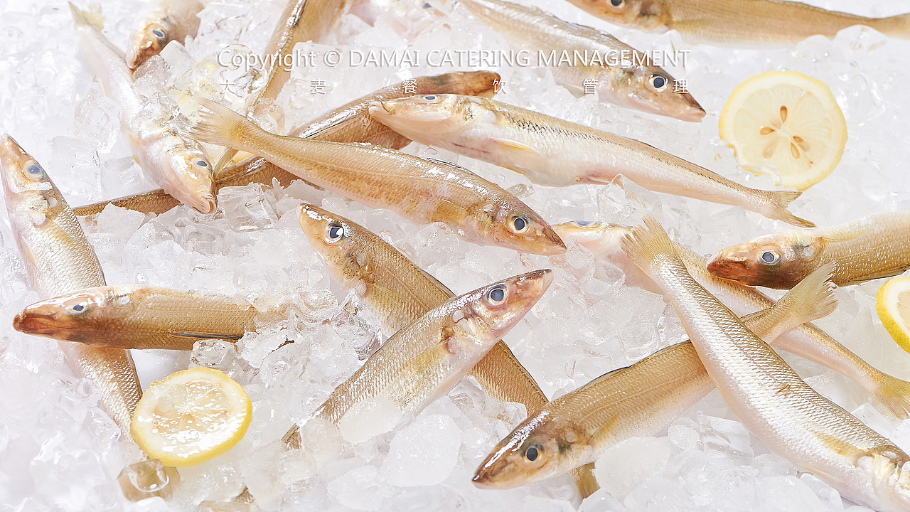 潮旺渔港（图ZMTY2OTM2MDk2） - 产品摄影 - 站酷设计师PHOTOMAN摄影侠原创素材 - 站酷ZCOOL