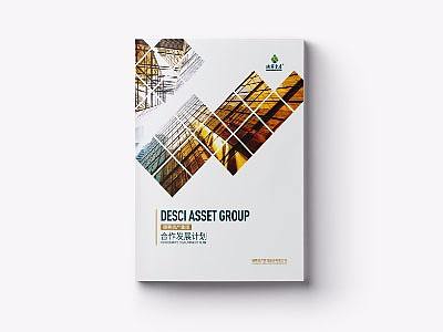 德赛资产 画册设计
