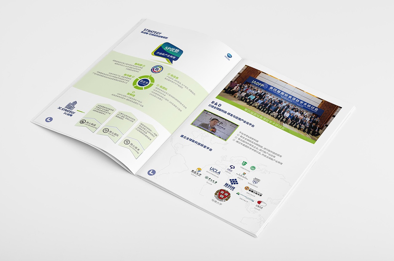 企业折页、画册、单页