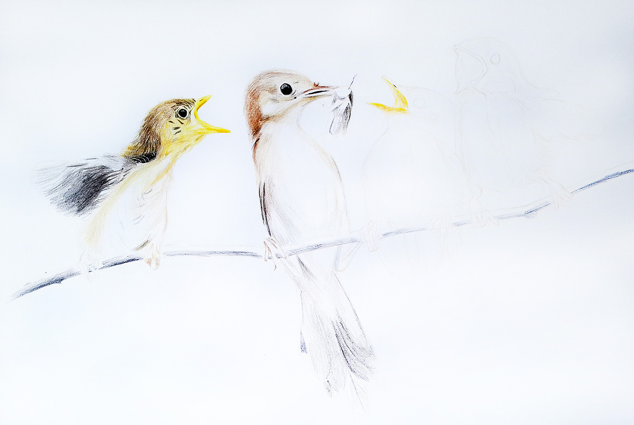 叶凡俊:母爱无疆