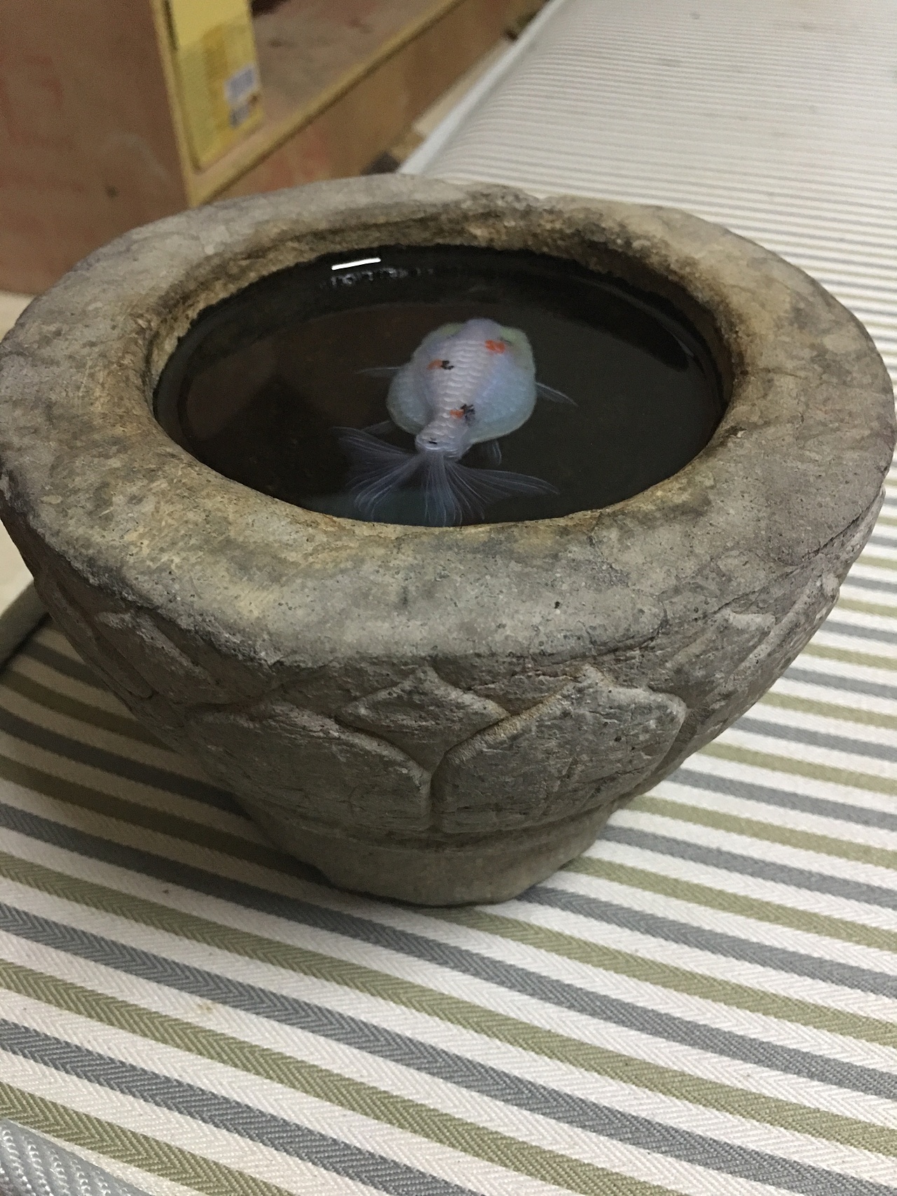 树脂画与古老石雕容器的结合