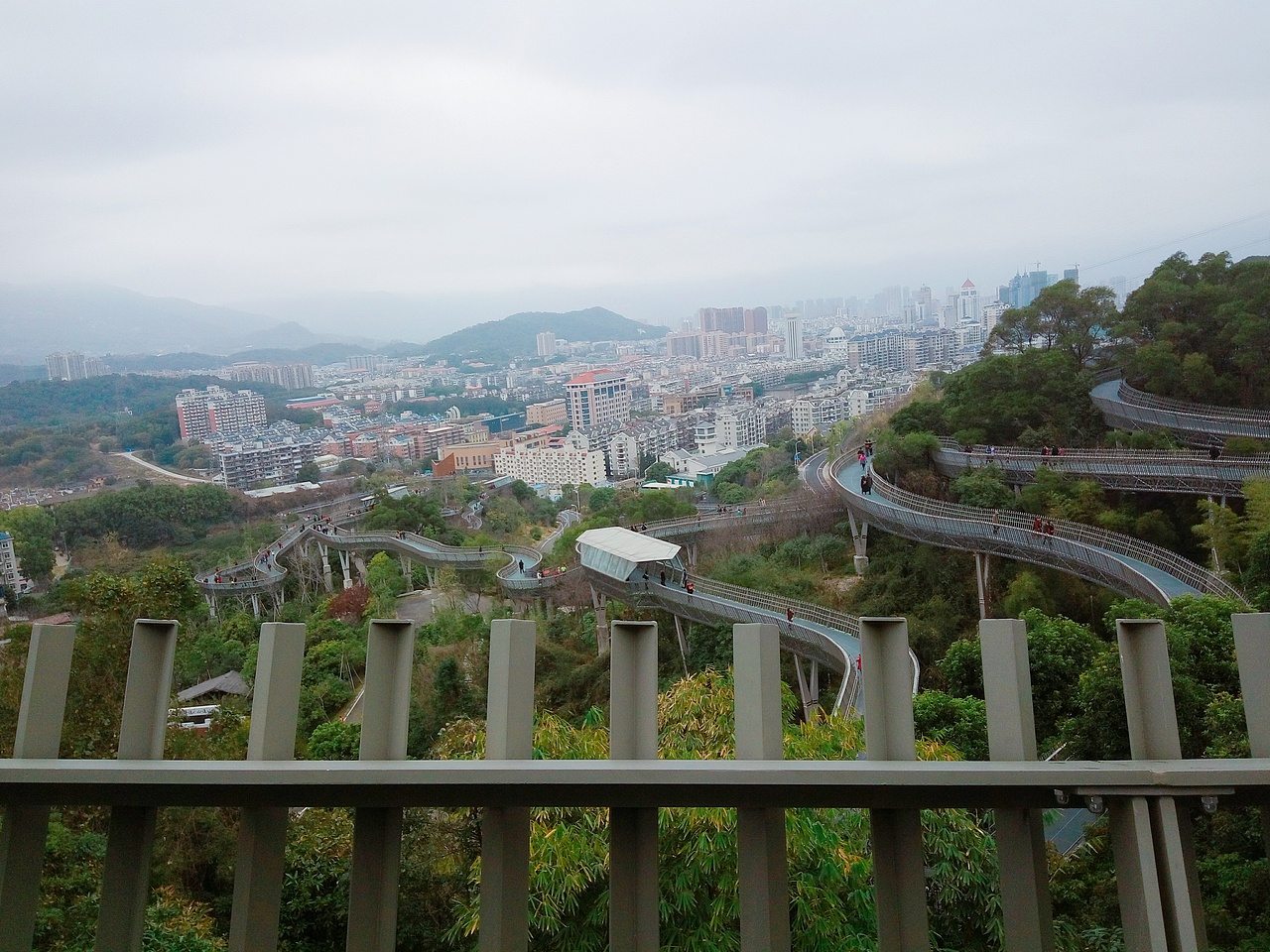 福道―福山郊野公园