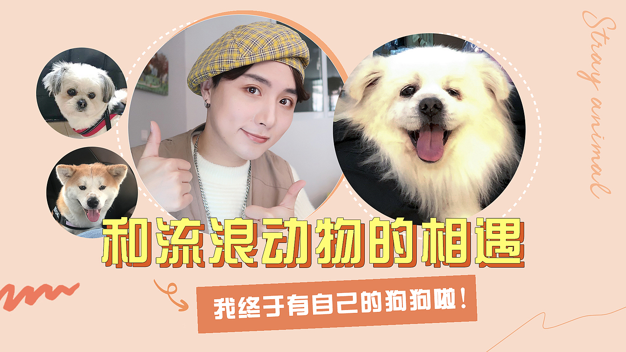 自媒体视频封面设计【黄色系】|banner|微博|KOL|MCN